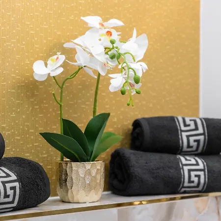 Apartment Hanza Tower Gold Angel