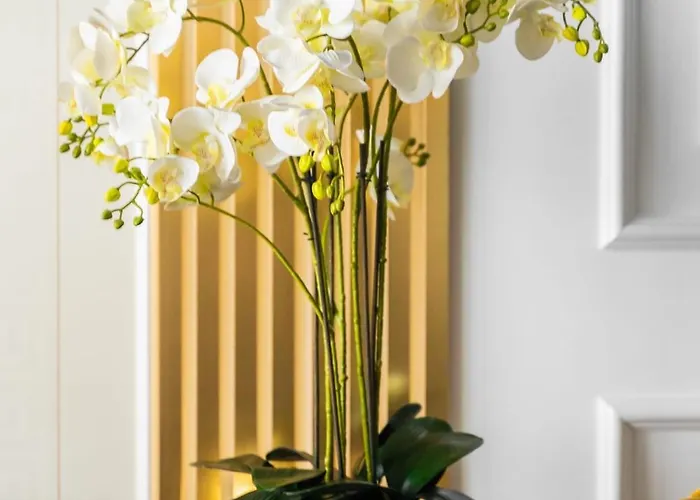 Hanza Tower Gold Angel *